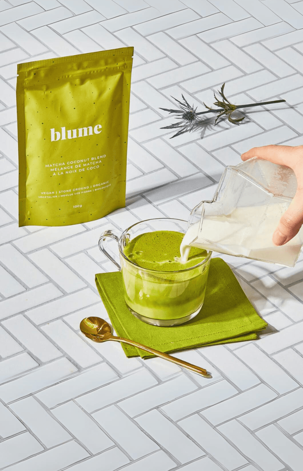 Ivy Lynne Home Matcha Blume Superfood Matcha Coconut